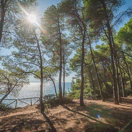 Squirrel Beach Front Villa, Metamorfosi Exterior foto