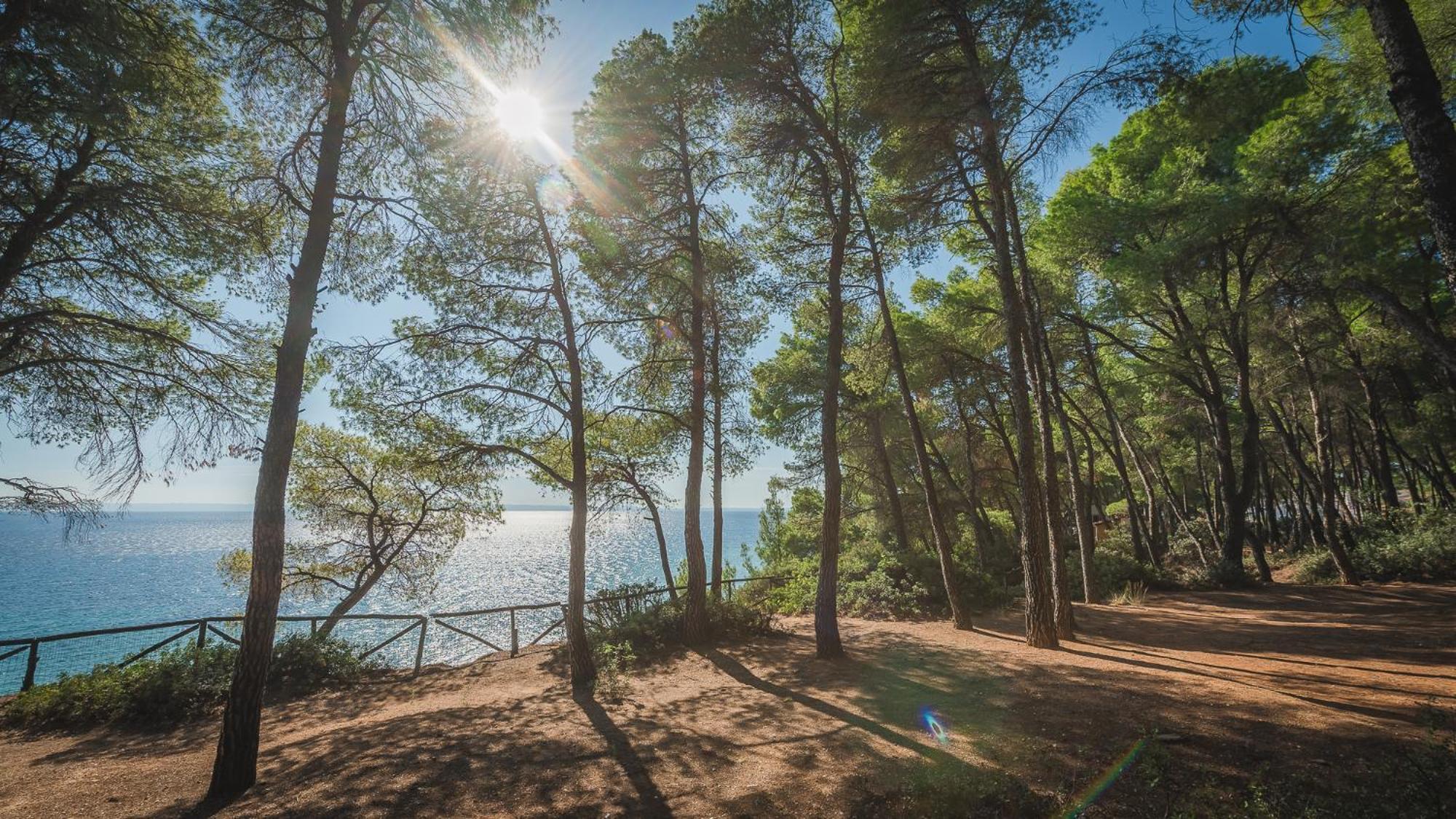Squirrel Beach Front Villa, Metamorfosi Exterior foto